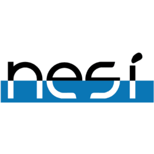 NESI logo