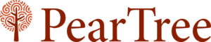 998669_logo-1719581710001