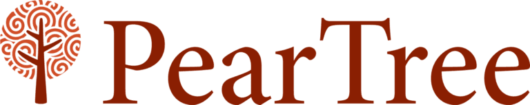 998669_logo-1719581710001